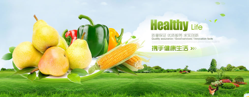 太原和木堂贸易有限公司